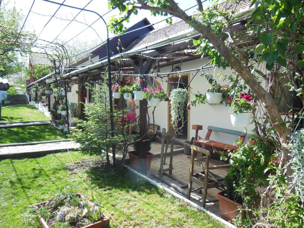Pension Bassen Bazna Exterior foto