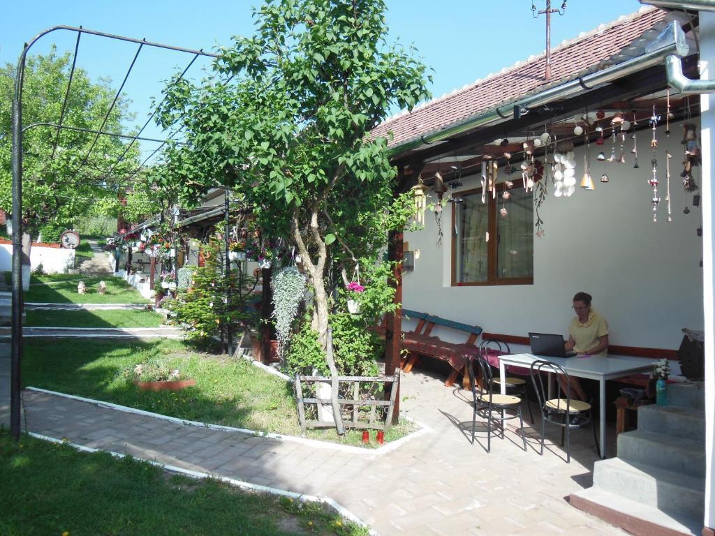 Pension Bassen Bazna Exterior foto
