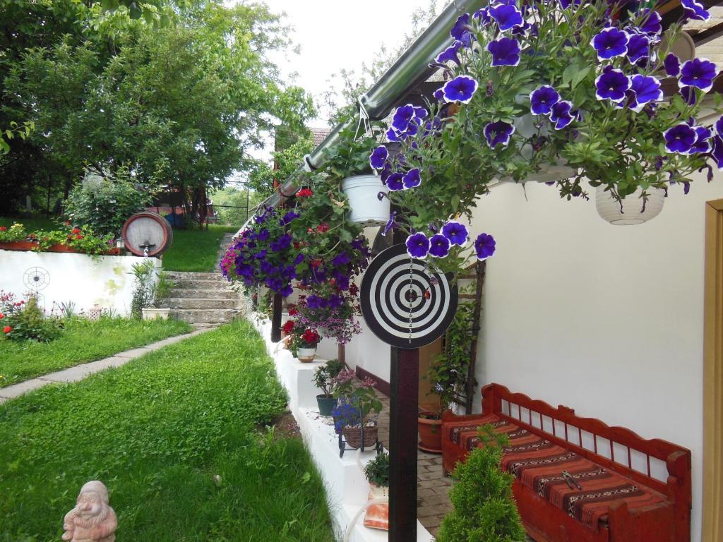 Pension Bassen Bazna Exterior foto