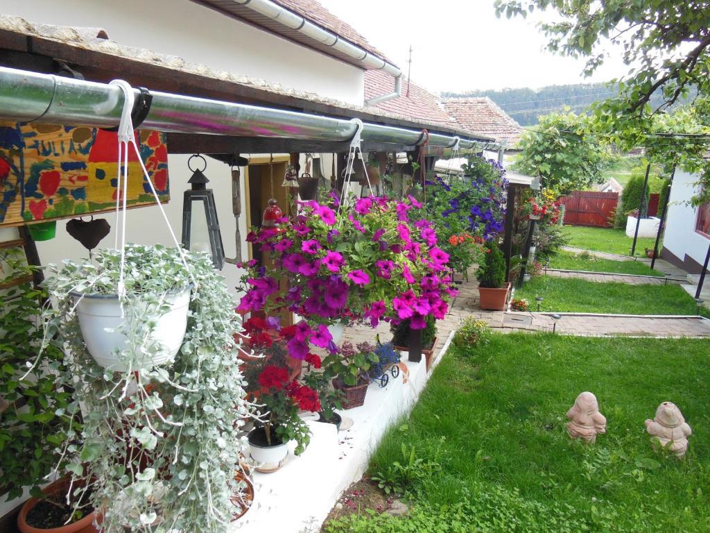 Pension Bassen Bazna Exterior foto