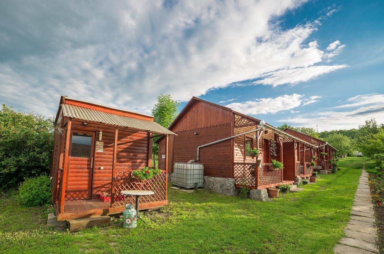 Pension Bassen Bazna Exterior foto